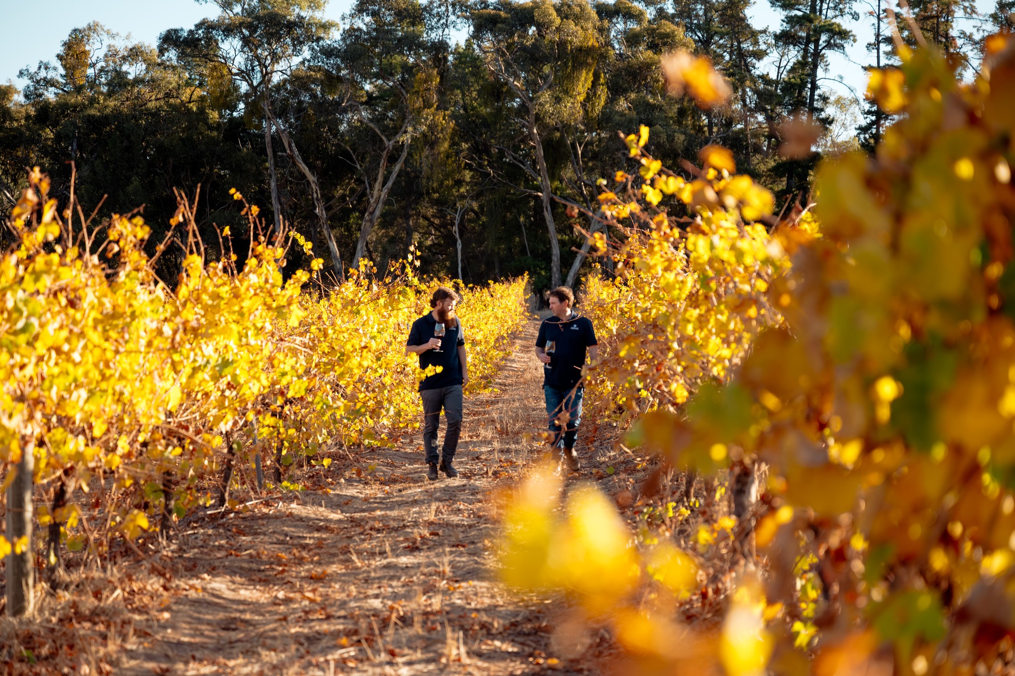 Four-Day Clare Valley Wine Country Retreat with Private Wine Tasting at Jim Barry Wines, a Renowned Clare Valley Winery (for up to 6 guests)