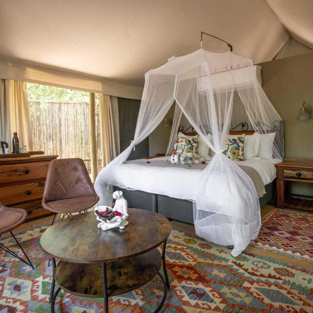 One-Week Luxury Safari to Kruger National Park and Sabi Sand Game Reserve for 2