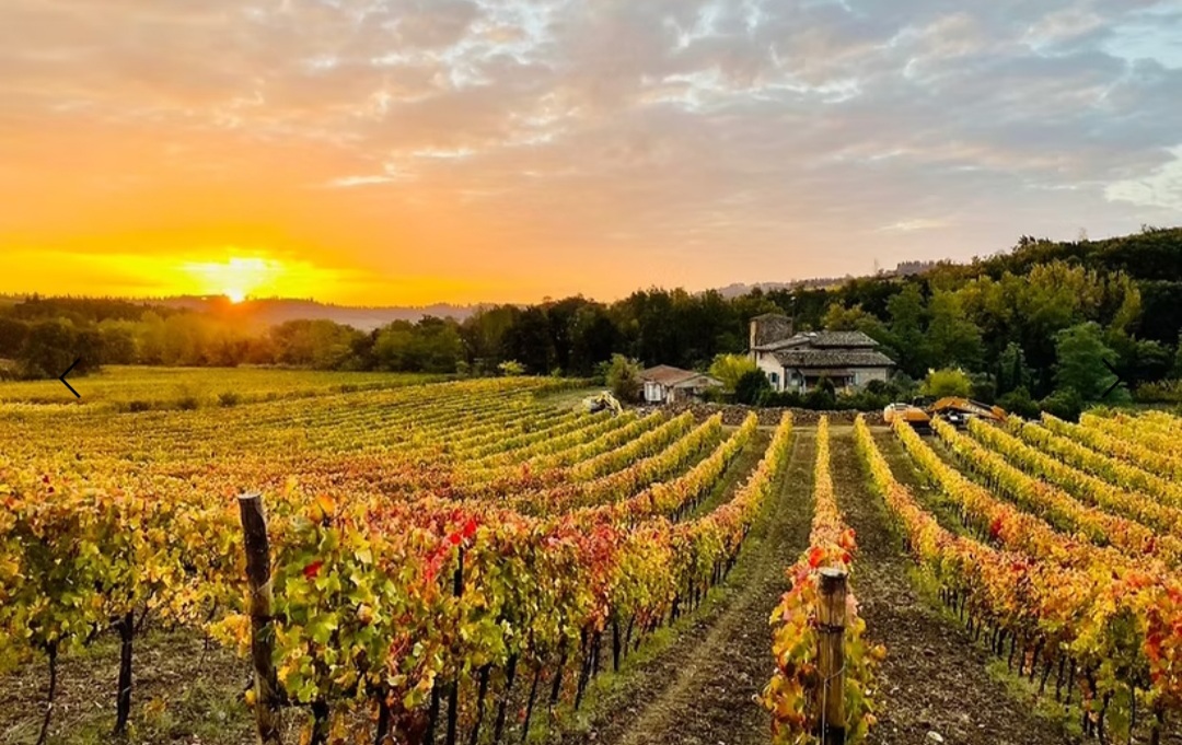 One-Week Luxury Chianti Vineyard and San Gimignano Tuscany Holiday for 2