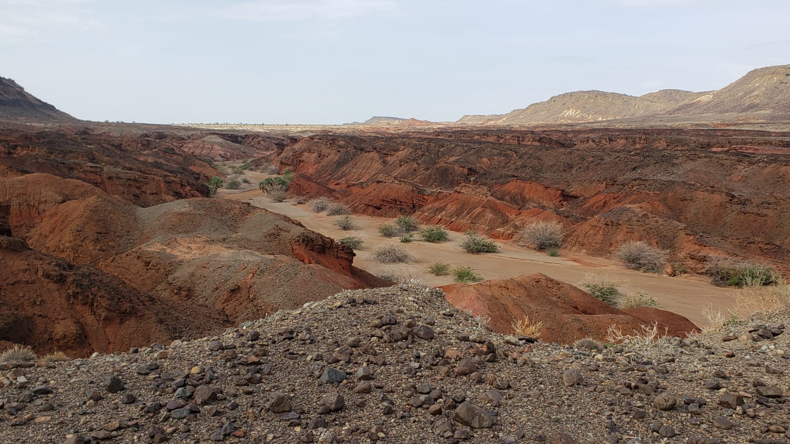 A week’s expedition to Lake Turkana, the legendary “Jade Sea” in northern Kenya – the cradle of human life for two or more guests