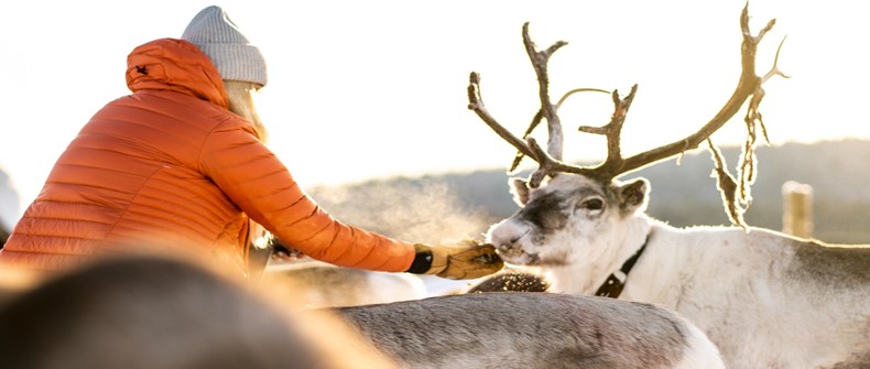 One-week Arctic Retreat in Lapland for 2