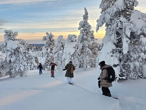 One-week Arctic Retreat in Lapland for 2 