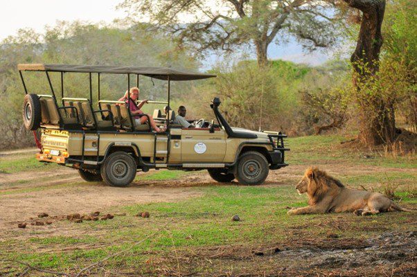 Two-night stay in Presidential Suite at an Award-Winning Safari Lodge in Zambia for up to 4